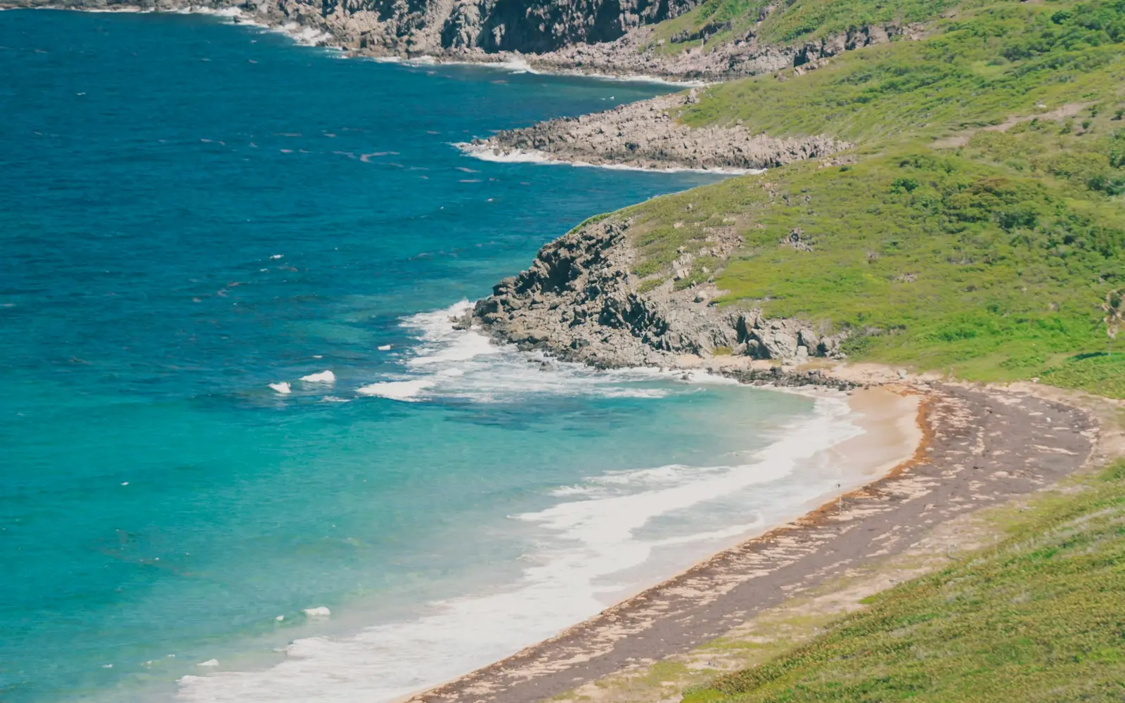 Green hills meeting a turquoise cove on the coast of St. Kitts
